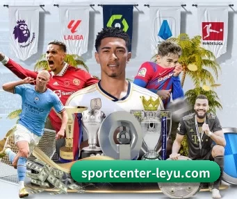 sportcenter-leyu.com APP